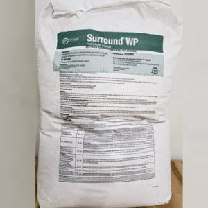 SURROUND